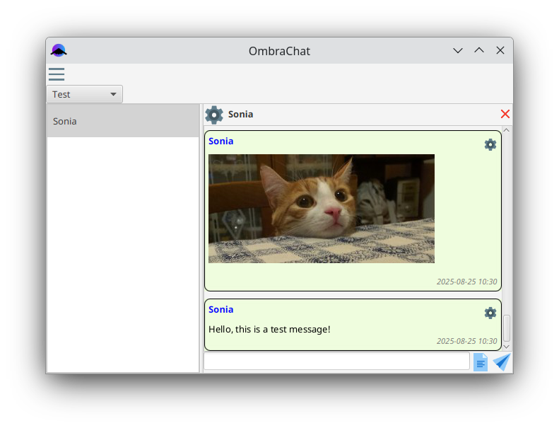 OmbraChat running in JavaFX