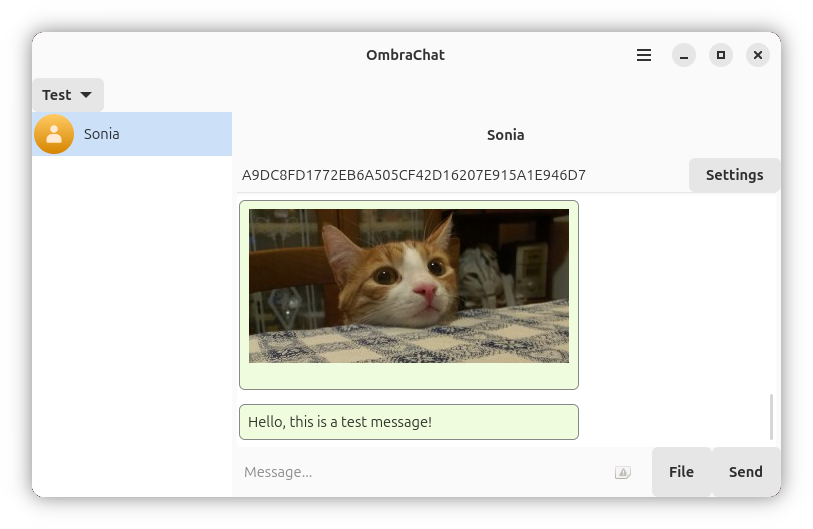 OmbraChat running in Vala